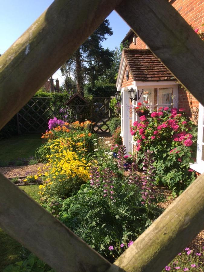 Vine Cottage Farnham  Exterior photo
